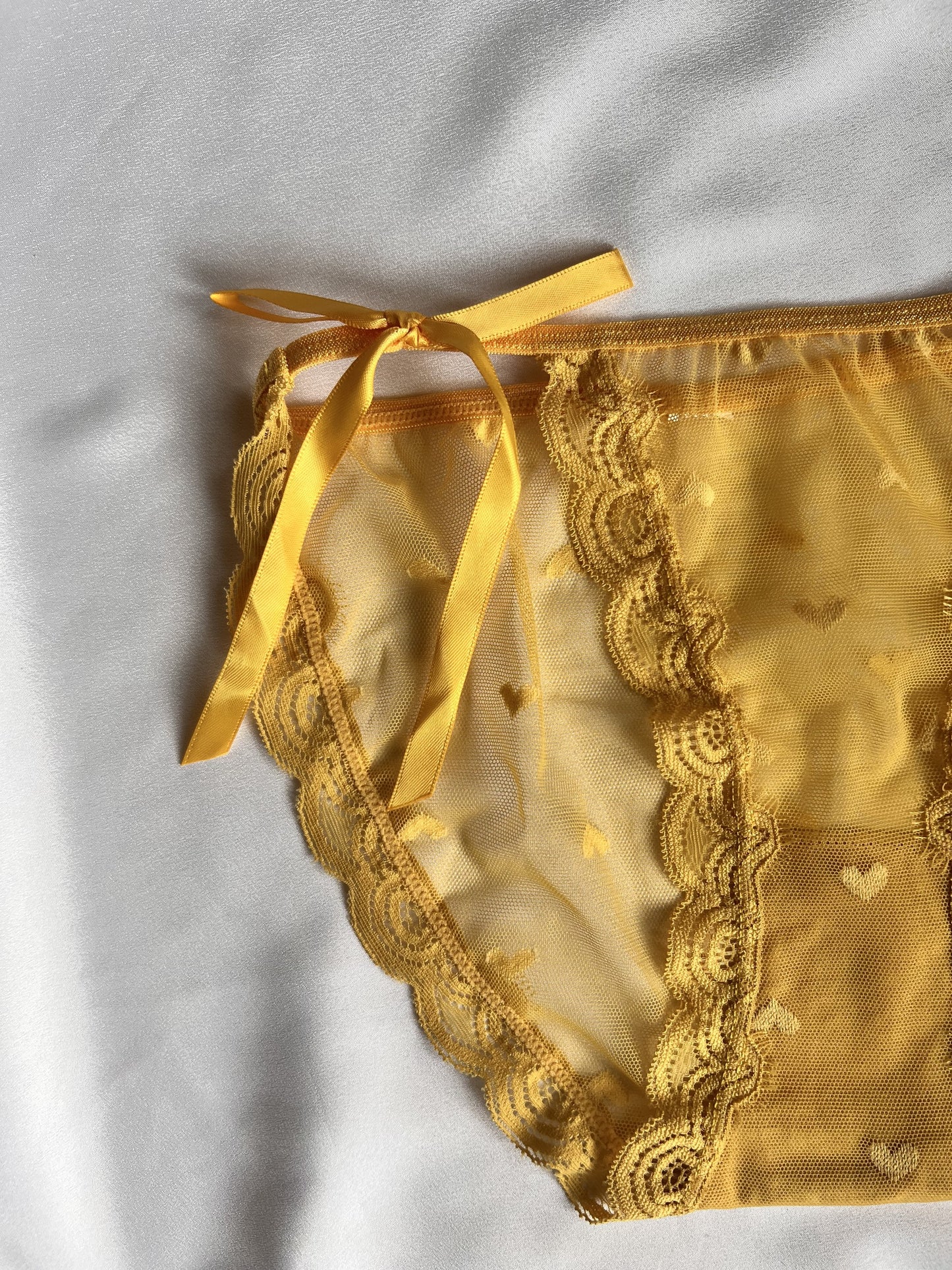 Net Panty