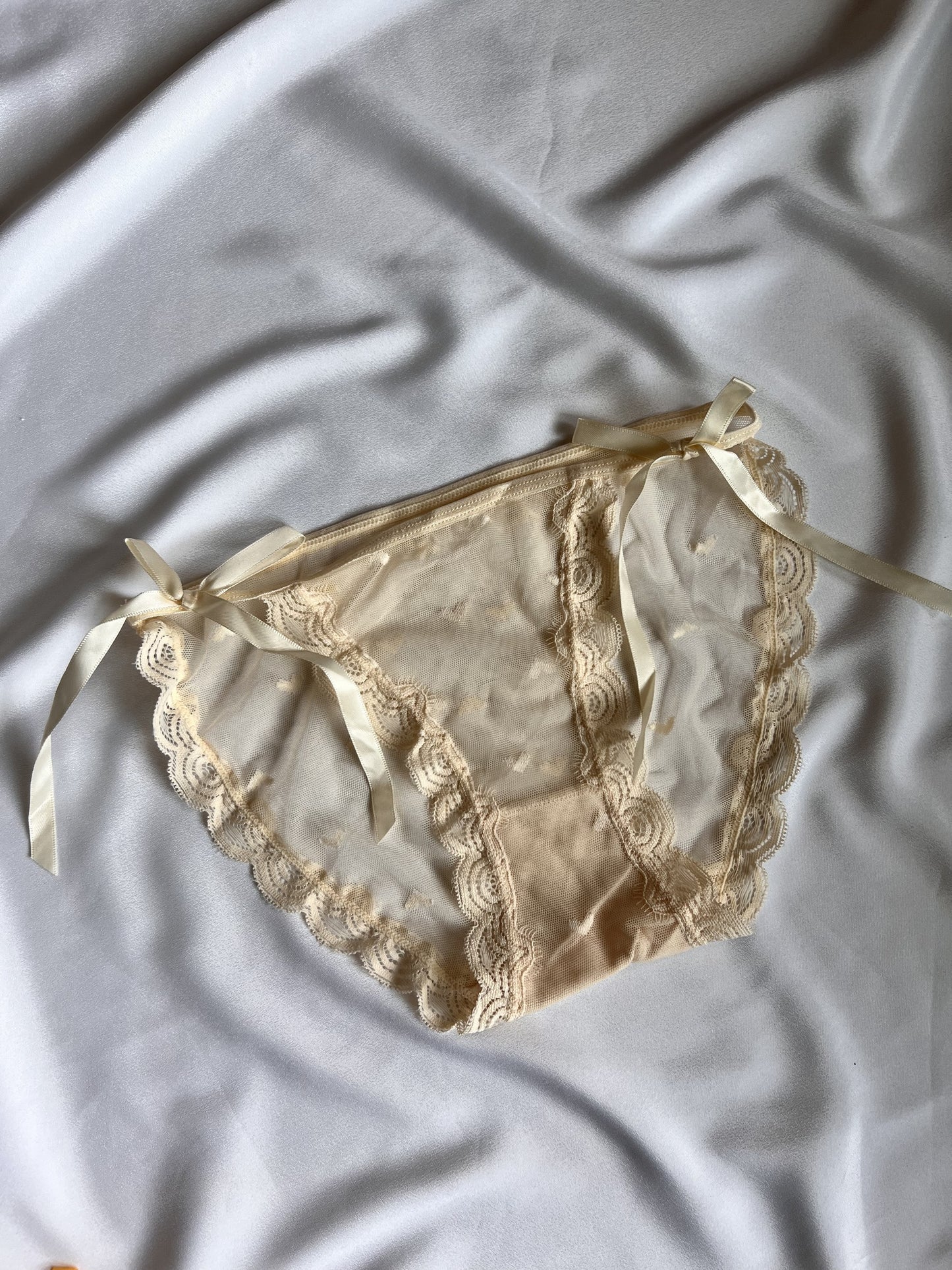 Net Panty